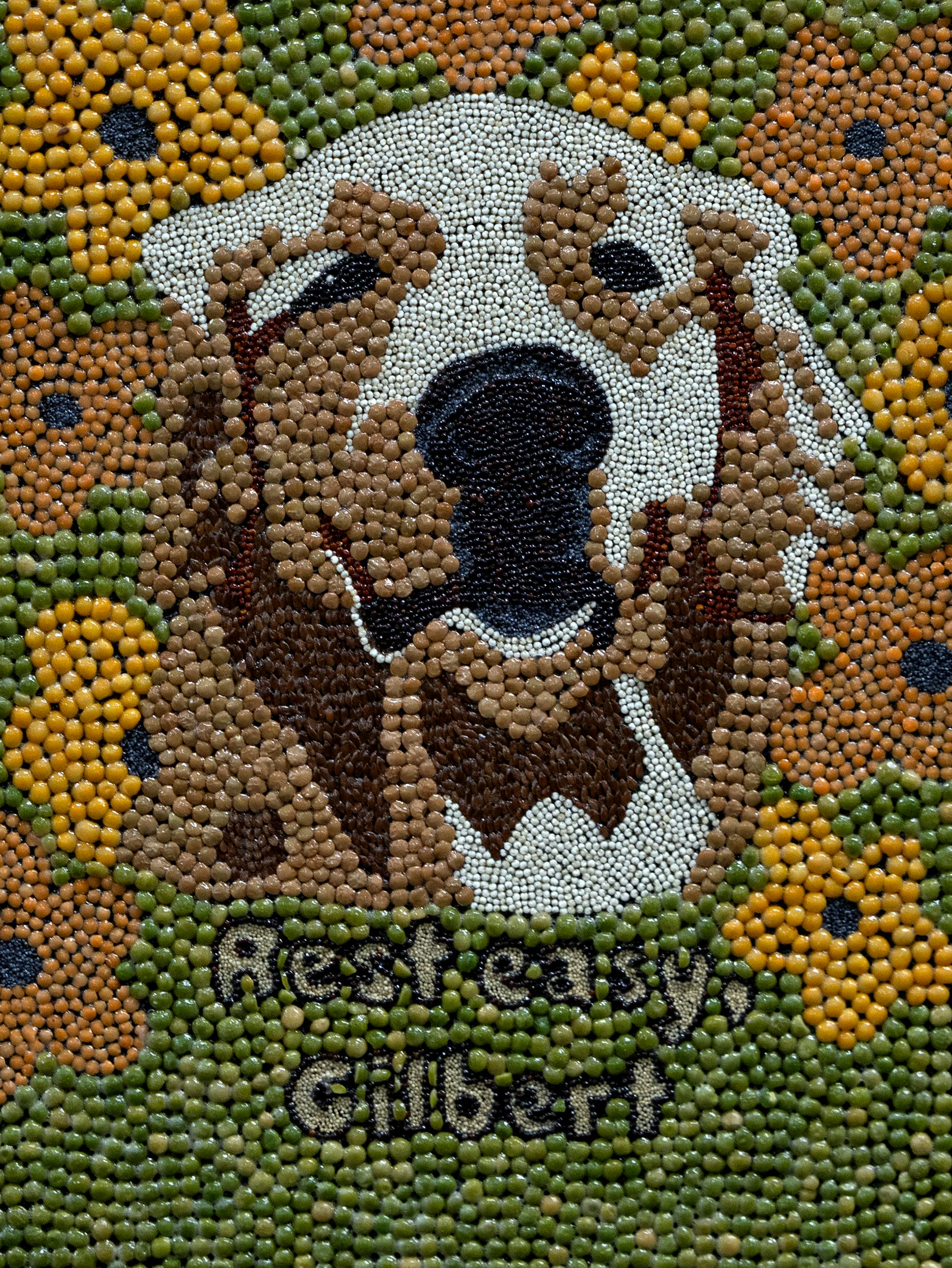 [Maria Linn-Evans Gilbert the Dog image]